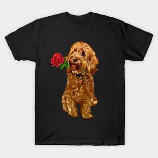 The Best Valentine’s Day Gift ideas 2022, Cavapoo Cavoodle with single red rose- cute cavalier king charles spaniel snug in a snowflake themed scarf T-Shirt